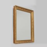 1186 5279 MIRROR